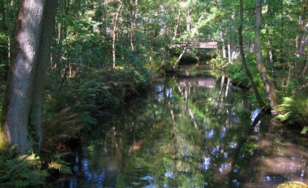 ortzedal