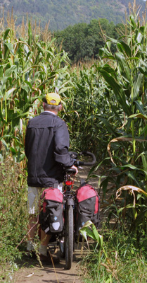 padinmaisveld