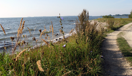 ruegen-11