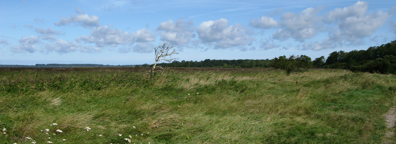 ruegen-2