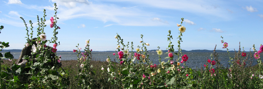 ruegen-4