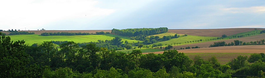 saalelandschap