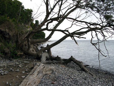 sassnitz-2
