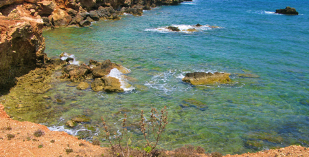 baaitje