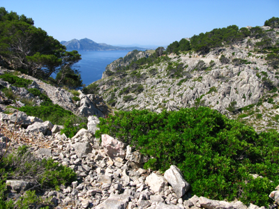 bijnabijformentera