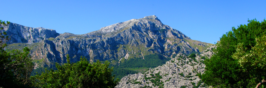 opwegnaarlluc