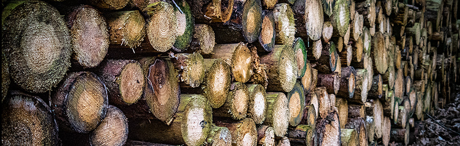 0523-hout