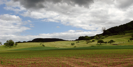 landschapvoorwittlich