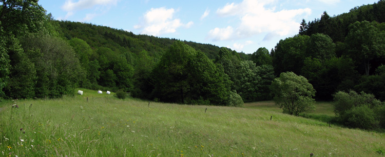 langsdekleinekyll