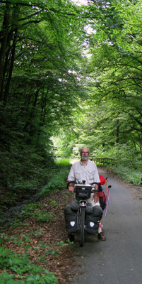 maaremoselradweggroen