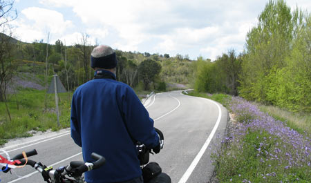 bloemenberm.jpg