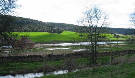 salinas1.jpg