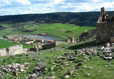 salinas2.jpg