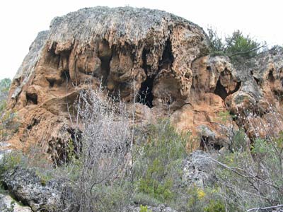 tajo8.jpg