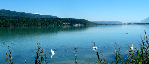 draumetzwanen.jpg