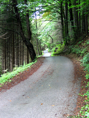 padlangsdemur.jpg