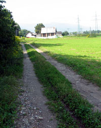 fietspadinweiland.jpg