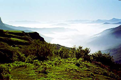 Picos de Europa