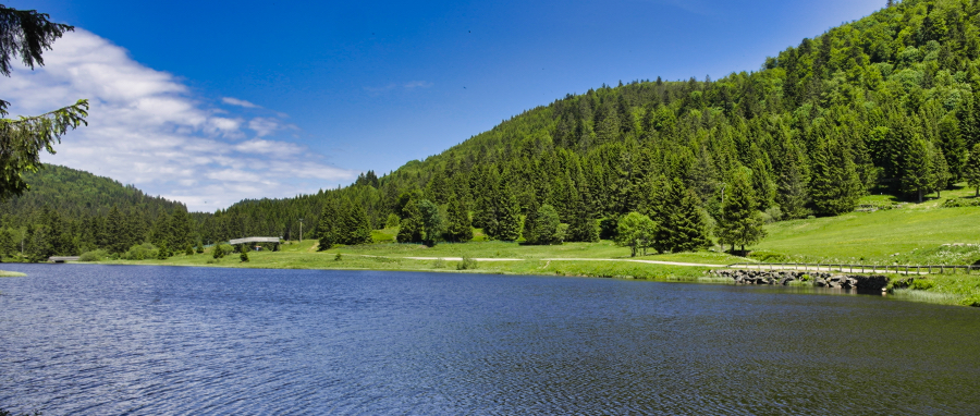 0603-laclispach