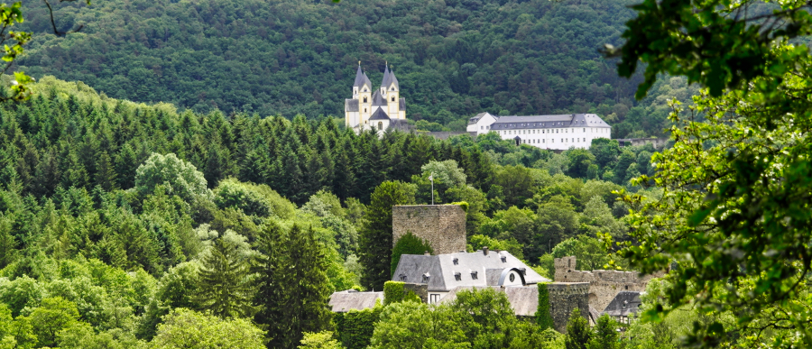 0609-kloosteranrstein-2