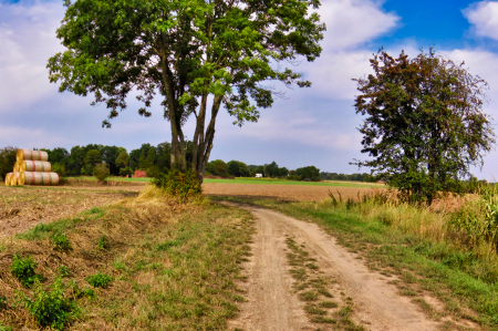 0828-karakeristiek landschap langs de weser
