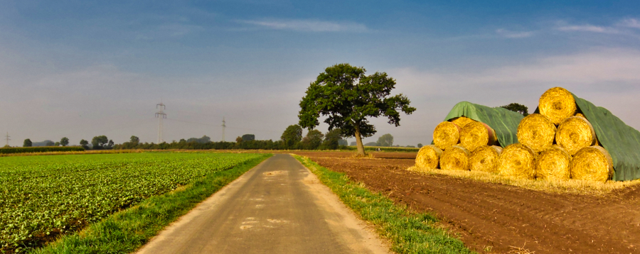 0830-route naar Eissel2