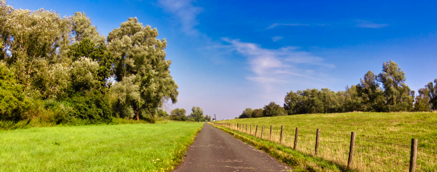 0831-elsflethersand-2