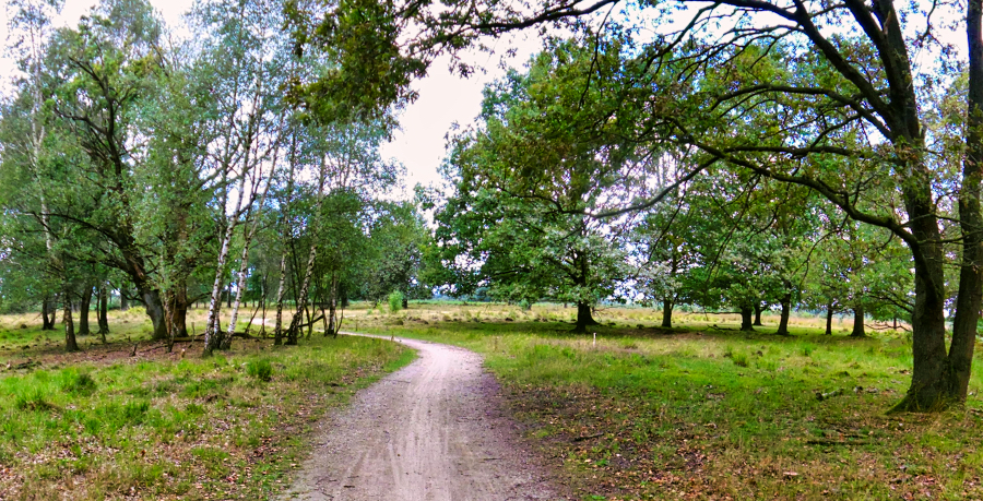 0905-haaksbergerveen