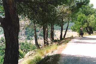molinico-este