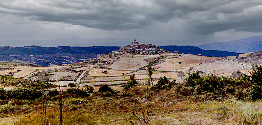 pintano