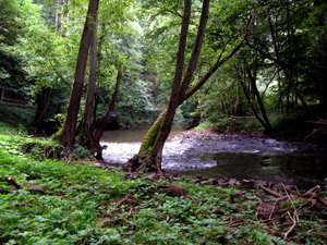 Kylltal