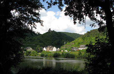 Moeselzicht