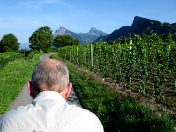 wingaarden