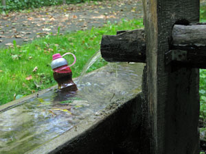 Koelkast in het bos