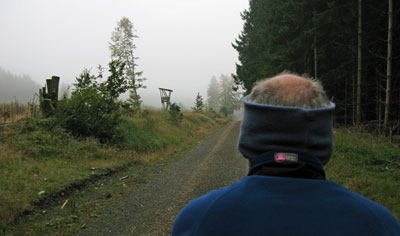 mist