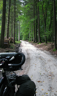 Steil pad