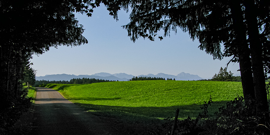 IMG_8459-alpendoemenop