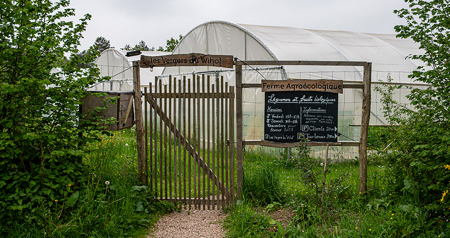 20230522-ecologischetuinderij