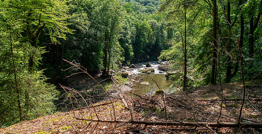 20230524-irrelerwaterval