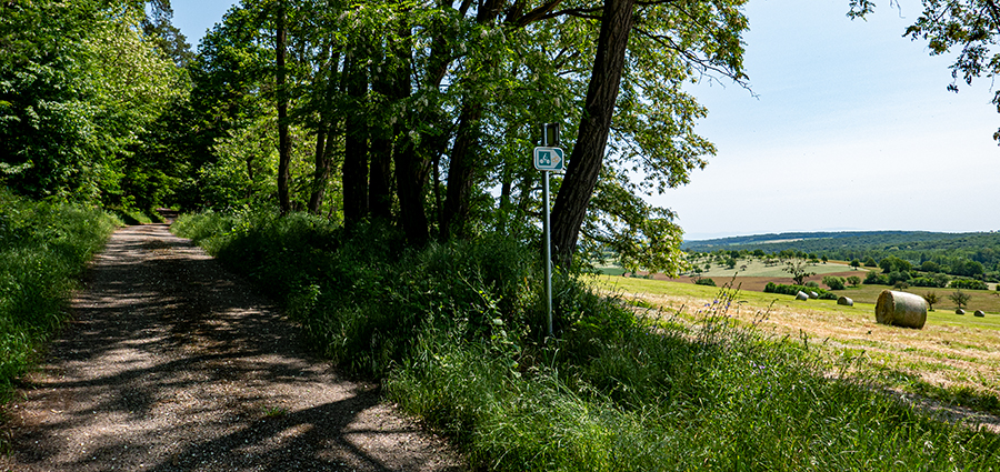 20230528-altereben3