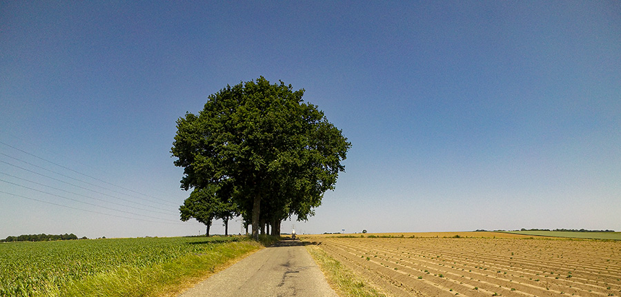 20230610-limburgslandschap
