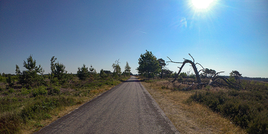20230611-leenderheide