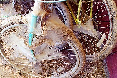 Begroeide fiets