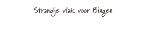 Strandje vlak voor Bingen